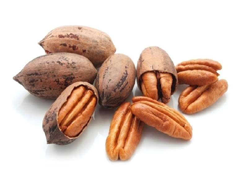 Uso agrícola de Biotech BMI en Nogal para control de Gusano Barrenador de la Nuez (GBN)