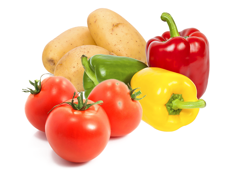 Uso agrícola de Biotech BMI en Solanáceas (tomate, chile) para control de Mosquita blanca y Paratrioza