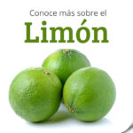 Conoce más sobre el Limón