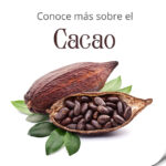 Conoce más sobre el Cacao