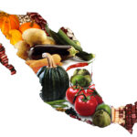 Mapa México agricultura