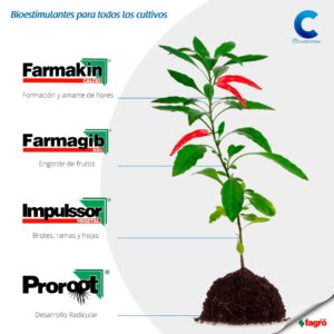bioestimulantes para cultivos