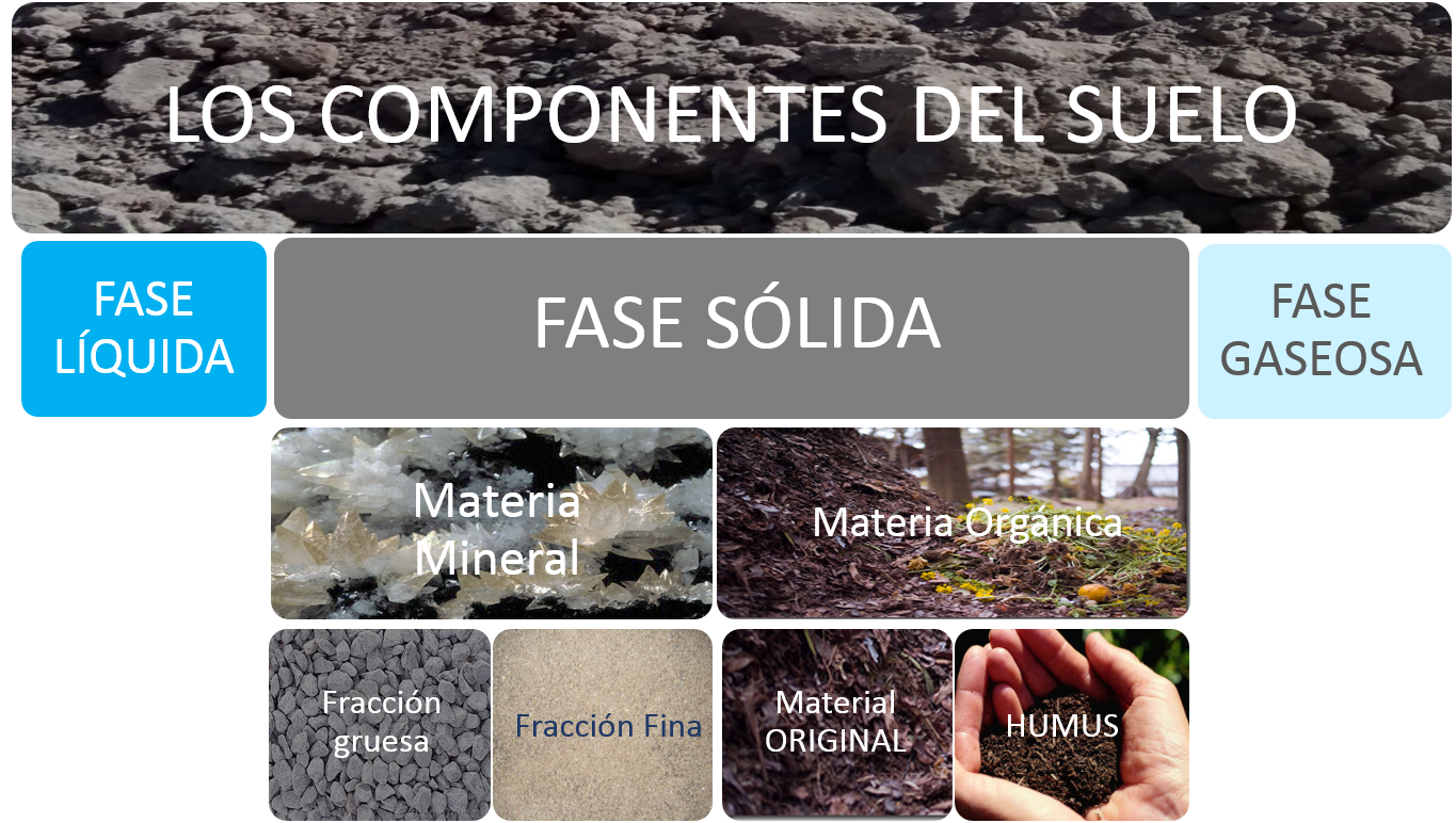Componentes del suelo