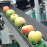 productos orgánicos para post cosecha