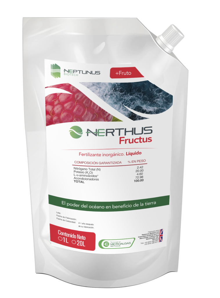 Render Fructus 1763049346 1 v1 0 1763053260