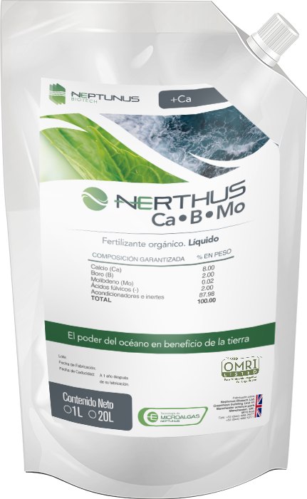 Render Nerthus CaBMo 1 20L 1763049346 2 v1 0 1763053198