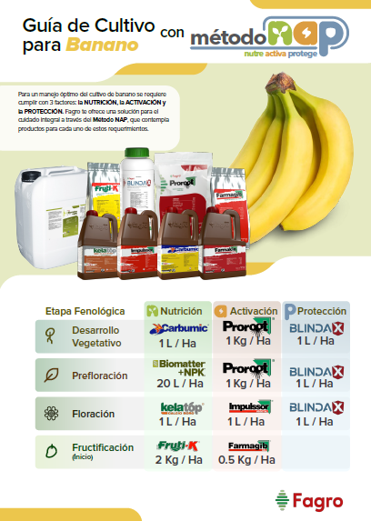 Guía de cultivo para banano con el método NAP