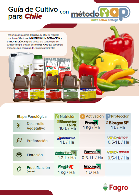 Guía de cultivo para chile con el método NAP