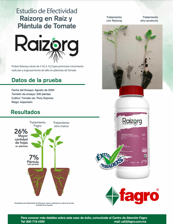 Estudio de efectividad Raizorg en raíz y plántula de tomate