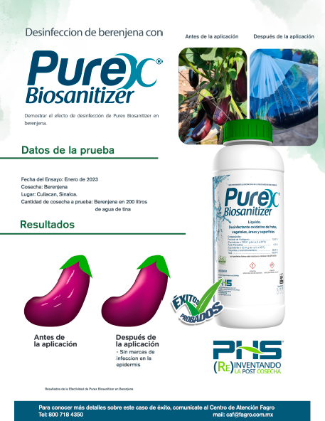 Desinfección de berenjena con Purex Biosanitizer
