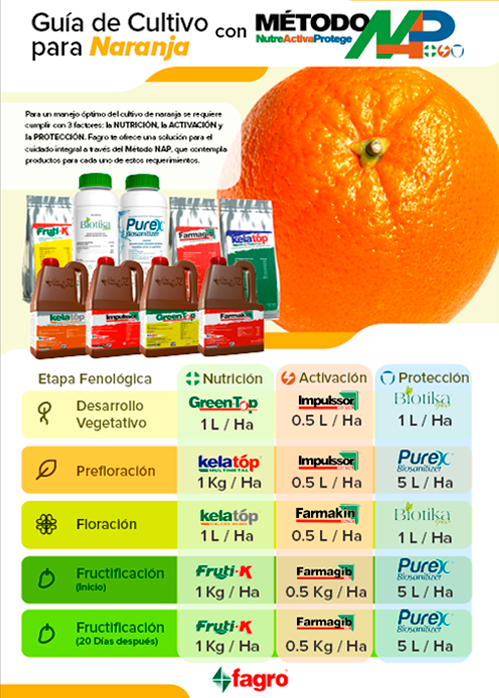 Guía de cultivo para naranja con el método NAP