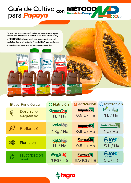 Guía de cultivo para papaya con el método NAP