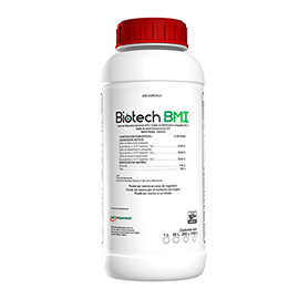Biotech BMI Insecticida a base de Beauveria bassiana, Metarhizium anisopliae e Isaria fumosorosea. para eliminar Pulgón Saltador, Paratrioza