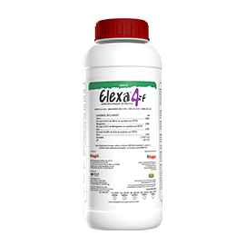 Elexa 4 Insecticida Botánico / Extracto Acuoso.
