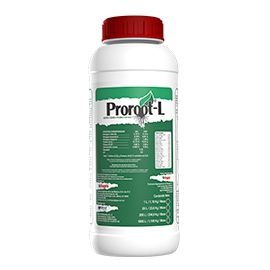 Proroot-L Fertilizante líquido para inducir y estimular desarrollo óptimo del sistema radicular.
