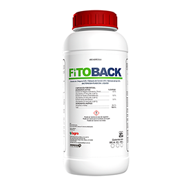 Fitoback Bactericida-fungicida. Líquido producto a base de extractos vegetales.